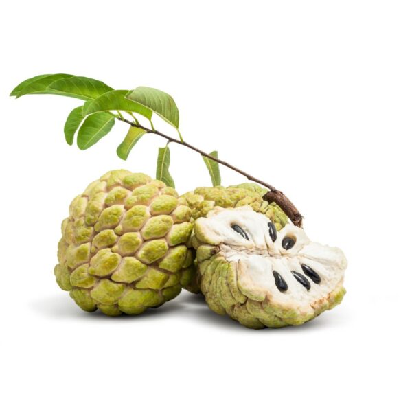 Custard Apple (Sitaphal)